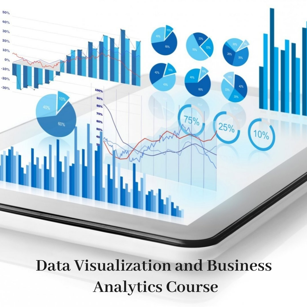Data visulisation / Business Analytics in Excel